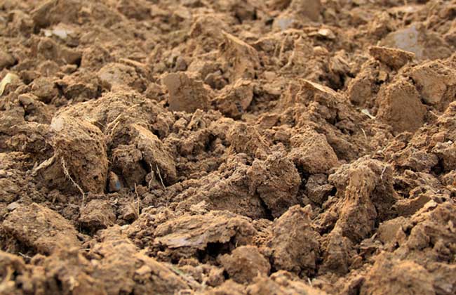 五行缺土怎么辦