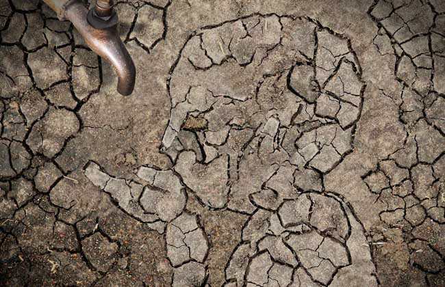 五行缺水怎么辦