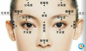 福相是什么樣子，福相的有什么特征？