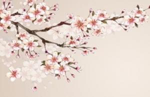 屬牛人在2021年12月可能破財(cái)嗎 財(cái)神到來(lái)正財(cái)佳