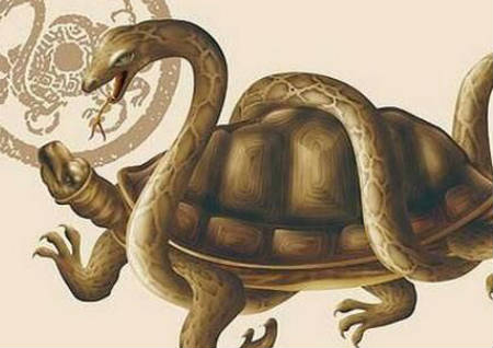 招財(cái)納福的吉祥物擺放風(fēng)水禁忌