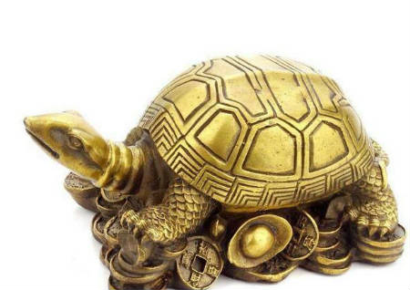 風(fēng)水招財(cái)龜擺放需知