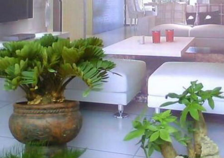 利于陽宅穩(wěn)定的風(fēng)水?dāng)[件