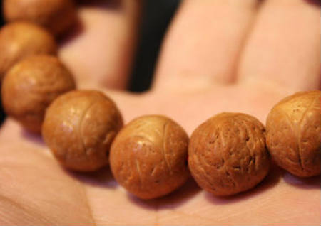 龍眼菩提在佛教里的意義