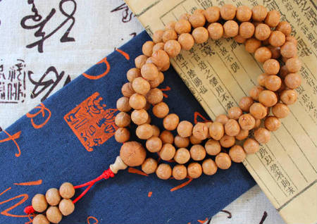 龍眼菩提在佛教里的意義