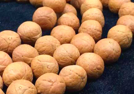 什么樣的龍眼菩提最好