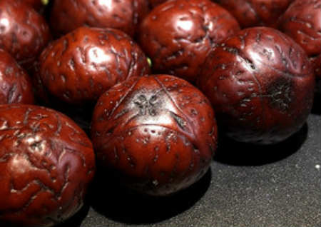 龍眼菩提怎么盤玩