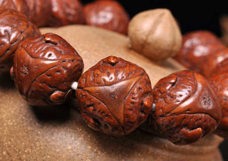 鳳眼和龍眼菩提哪個好