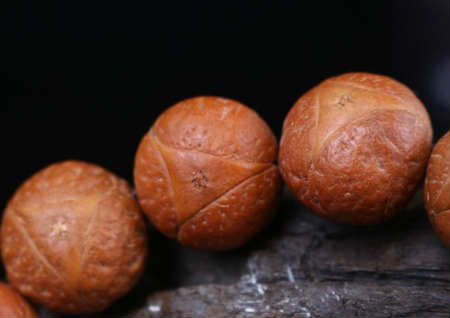 鳳眼和龍眼菩提哪個好