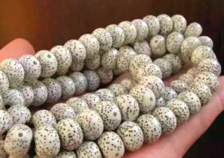 星月菩提變色過(guò)程照片