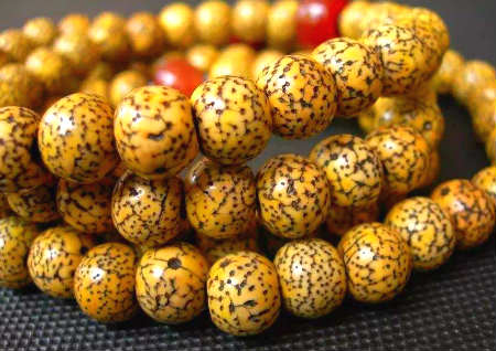 星月菩提變色過(guò)程照片