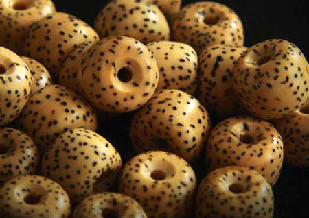 星月菩提怎么選擇好與不好