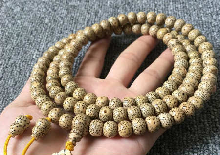 星月菩提真假鑒別