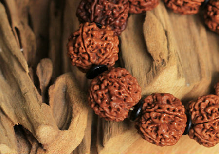 金剛菩提子的作用與功效