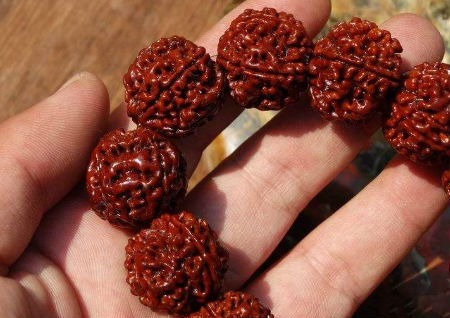 金剛菩提子怎么盤(pán)紅