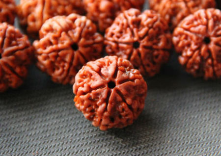 金剛菩提幾瓣的最好