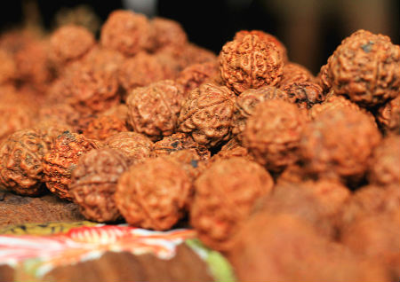 金剛菩提幾瓣的最好