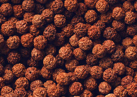 金剛菩提的寓意與作用