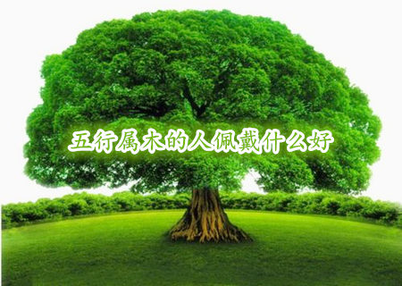 五行屬木的人佩戴什么好