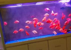 利于陽宅穩(wěn)定的風水擺件