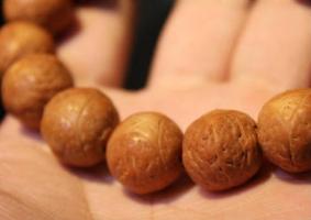 龍眼菩提在佛教里的意義