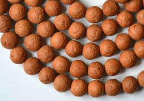 什么樣的龍眼菩提最好