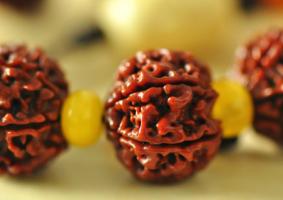 金剛菩提怎么盤紅的快