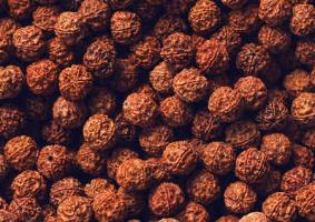 金剛菩提子可以辟邪嗎