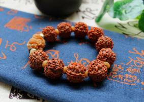 金剛菩提子的作用與功效