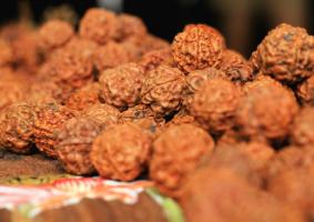 金剛菩提幾瓣的最好