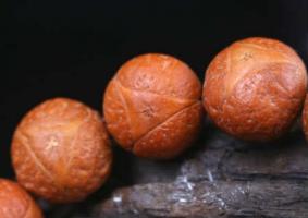 龍眼菩提的寓意