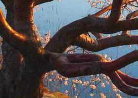 桃木為什么能辟邪