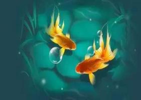 風(fēng)水魚養(yǎng)幾條好旺財(cái)