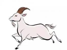 算命先生告訴我的：未羊的五行屬性