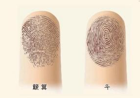 根據(jù)指紋，為你算命，解密手指頭下的人生秘密