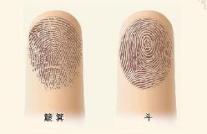 兩位緣主，提供指紋樣式，算一下他們的命理運(yùn)勢