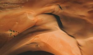 八字算命：人的命運(yùn)會遺傳？