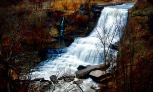 八字：反敗為成的變格