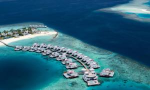 八字算命：命與運