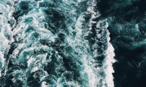 八字算命：星宮一見