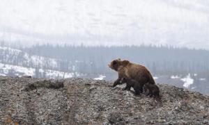 八字算命的訣竅有哪些？