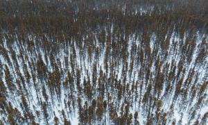 怎么理解八字算命中的“神煞”？