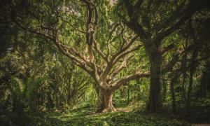 八字算命看你為何總破財(cái)？