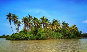 如何從八字算命中知悉事業(yè)總是高不成，低不就？