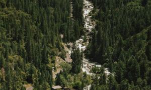 八字算命到底準不準？哪幾種人不適合于算命？