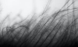 怎么利用八字算命的結(jié)果為你的人生指路？