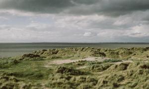 有人認為算命是迷信，為何還有很多人去算命？