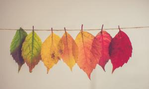 如何從八字中看婚姻？