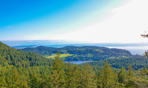 怎樣通過自己的八字來測事業(yè)運勢？