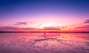 桃花運好的女人有什么八字？